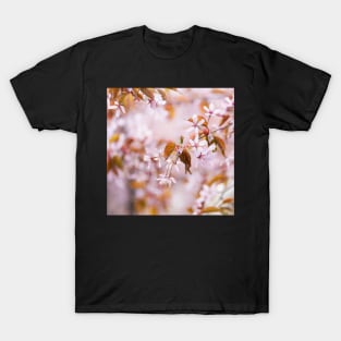 Cherry Blossom T-Shirt